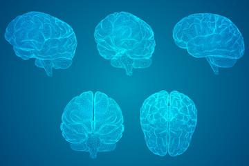 三年级上册英语第五单元怎么读