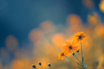 10道小数除法竖式