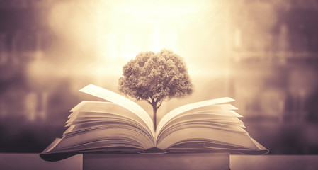 唐乾陵到底有没有被挖掘出来！》？