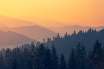 国外文学常识考点