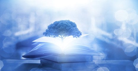 什么是“三从四德”？