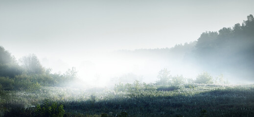 小学生生活中的法律常识知识点