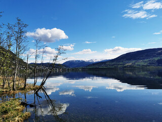 10道小数除法竖式