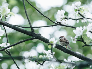 10道小数除法竖式