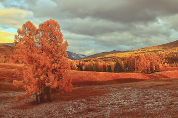 幼儿对事物认识模糊的措施
