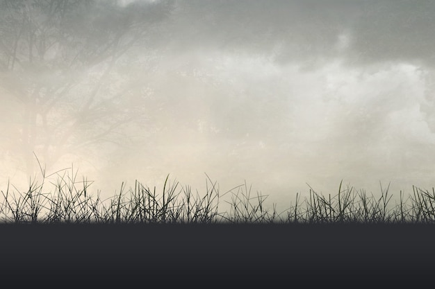 幼儿对事物认识模糊的措施