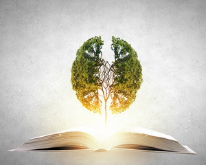 景观灯有哪些作用