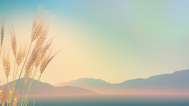 景观灯有哪些作用