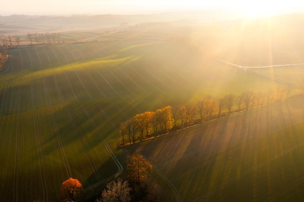 景观灯有哪些作用