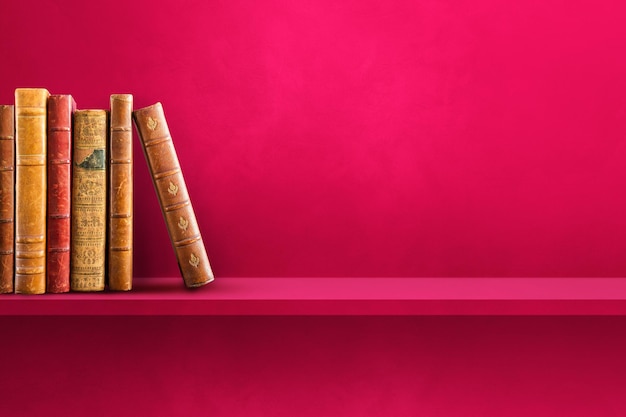 初一下册期中语文知识点总结