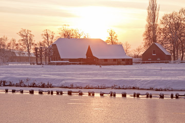 小学生生活中的法律常识知识点