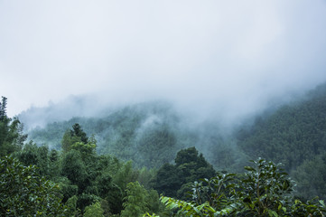 做梦梦到自己大姨妈来了